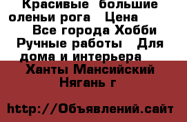 Красивые  большие оленьи рога › Цена ­ 3 000 - Все города Хобби. Ручные работы » Для дома и интерьера   . Ханты-Мансийский,Нягань г.